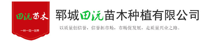 郓城丝瓜视频软件下载苗木种植有限公司