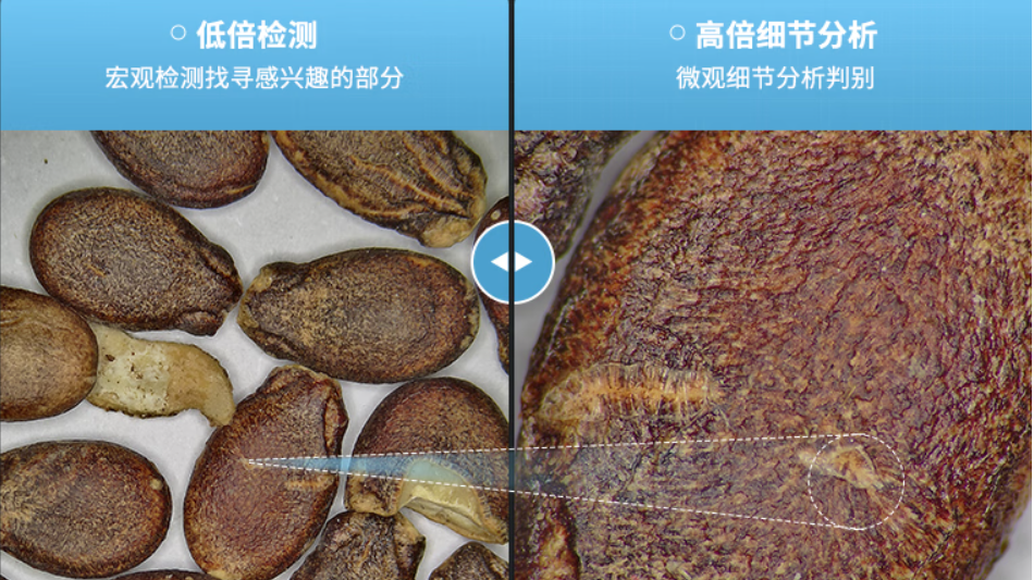 1705123832126483.png 1705123832126483.png